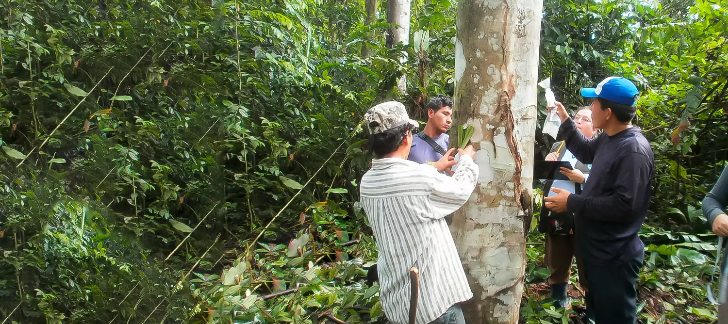 sangre-de-grado-probos-forestal-8-10